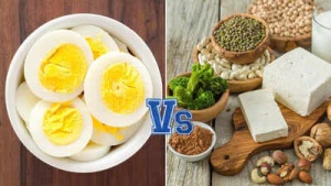 Fuel Your Body: 20 Vegetarian Protein Powerhouses That Outperform an Egg