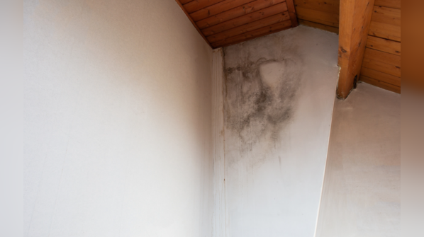 Mold growth on a bedroom wall due to moisture