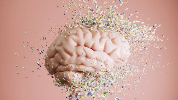 Illustration of the human brain.