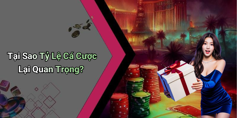 Tại Sao Tỷ Lệ Cá Cược Lại Quan Trọng?